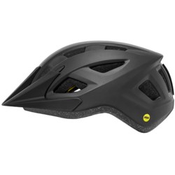 Giant Path MIPS Helmet